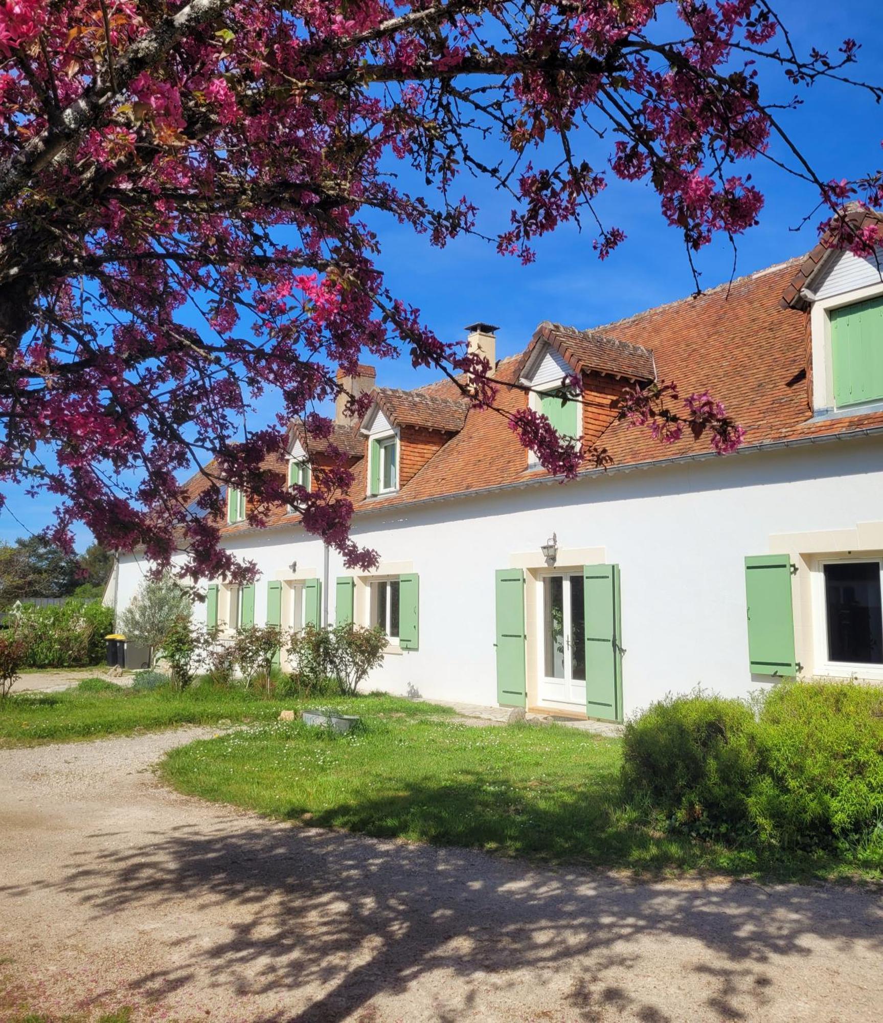 Sambin L Amalia Au Coeur Des Chateaux De La Loire Et Du Zoo De Beauval מראה חיצוני תמונה